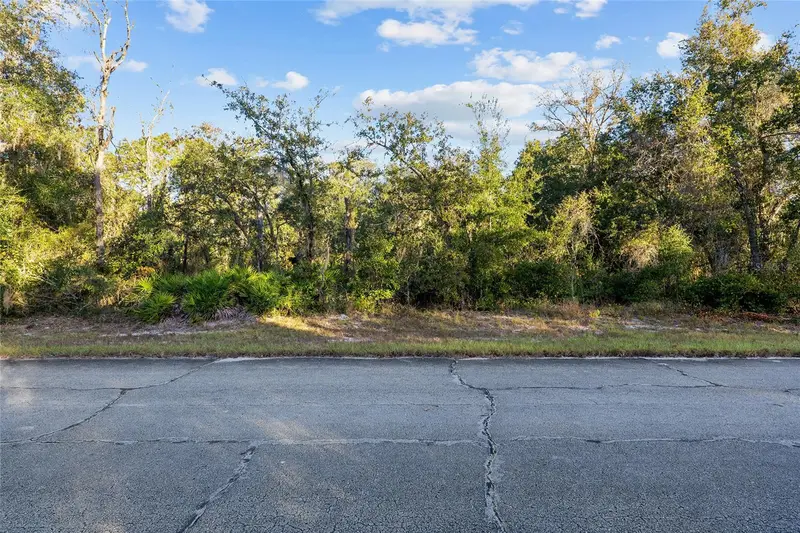 Tbd Sw 174 Pl, FL