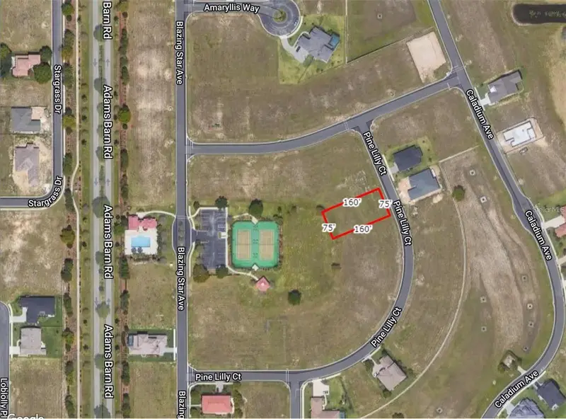 253 Pine Lilly Ct, FL