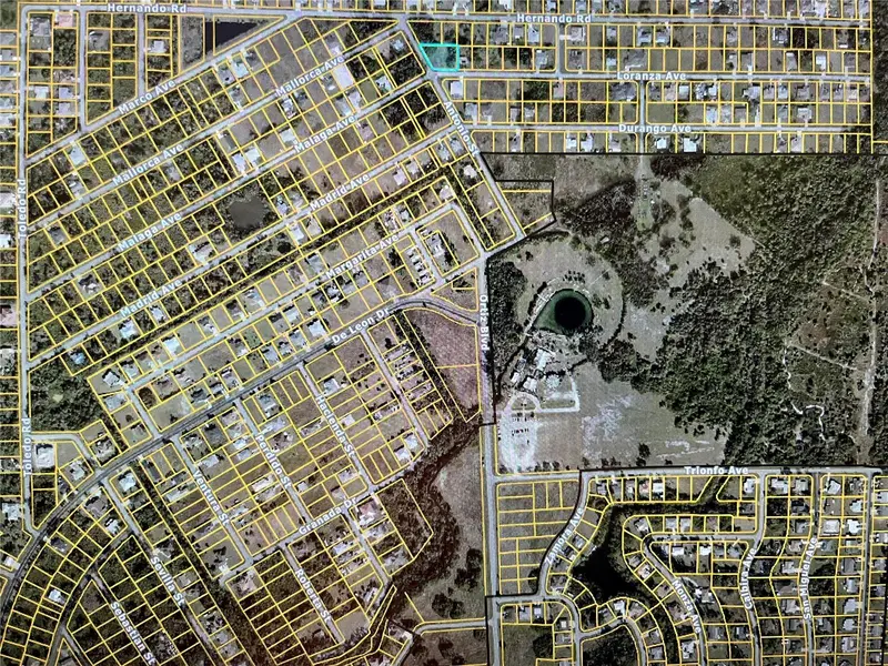 Lot 1,2,3 Loranza Ave, FL