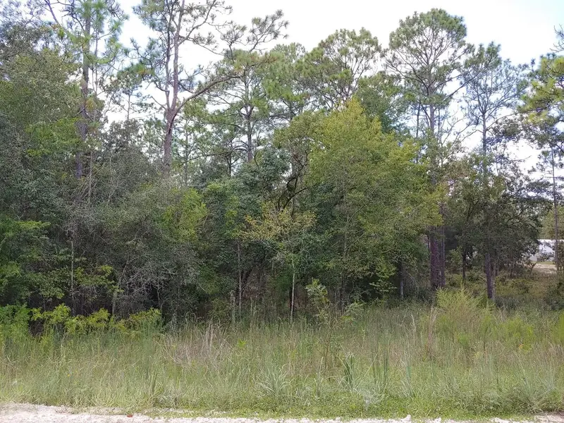 Tbd Se 150th Ave, FL