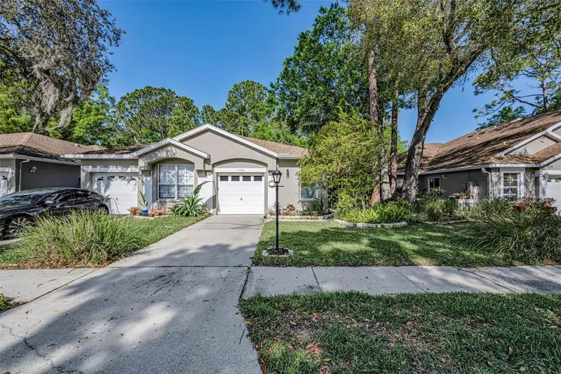 3164 Brooker Creek Way, FL
