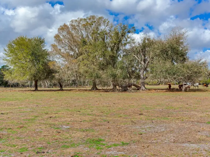 0 S Cr 39, FL