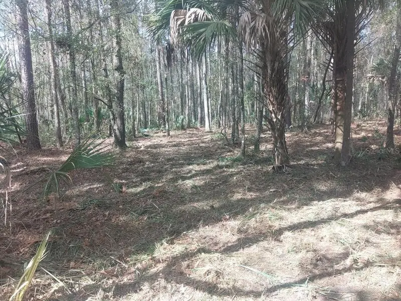 18954 County Rd 329, FL