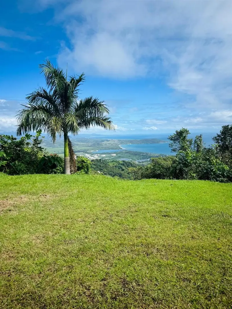 Barrio Camino Nuevo Sector La Maloja Arriba, PR
