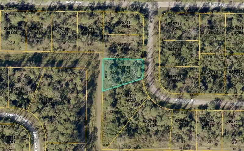 Apricola Road, FL