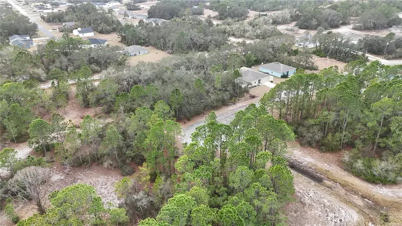 1255 Wahneta Dr, FL
