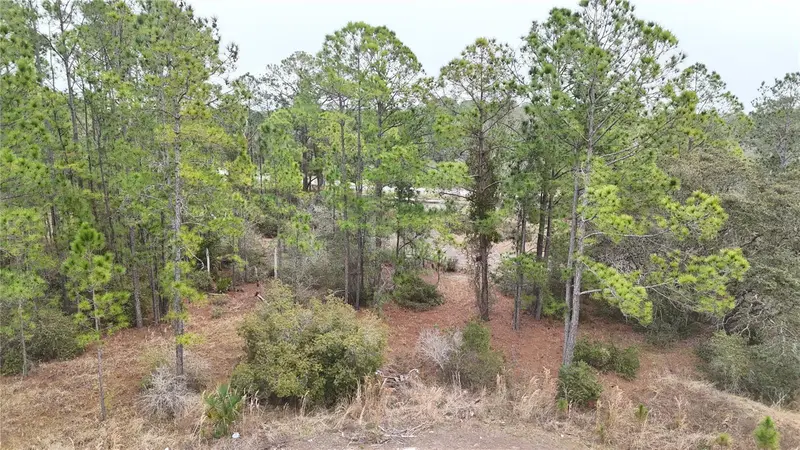 1256 Wahneta Dr, FL