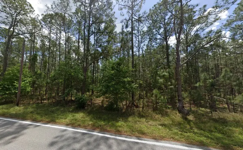 Poyner Oaks Rd N, FL