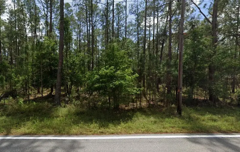 Poyner Oaks Rd N, FL