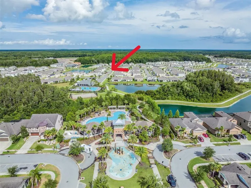 32699 Dashel Palm Ln, FL