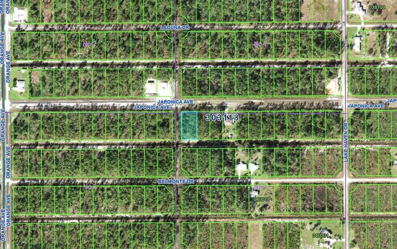 623 Japonica Ave, FL