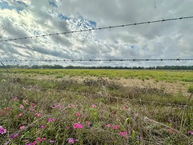 Sw 80th St, FL