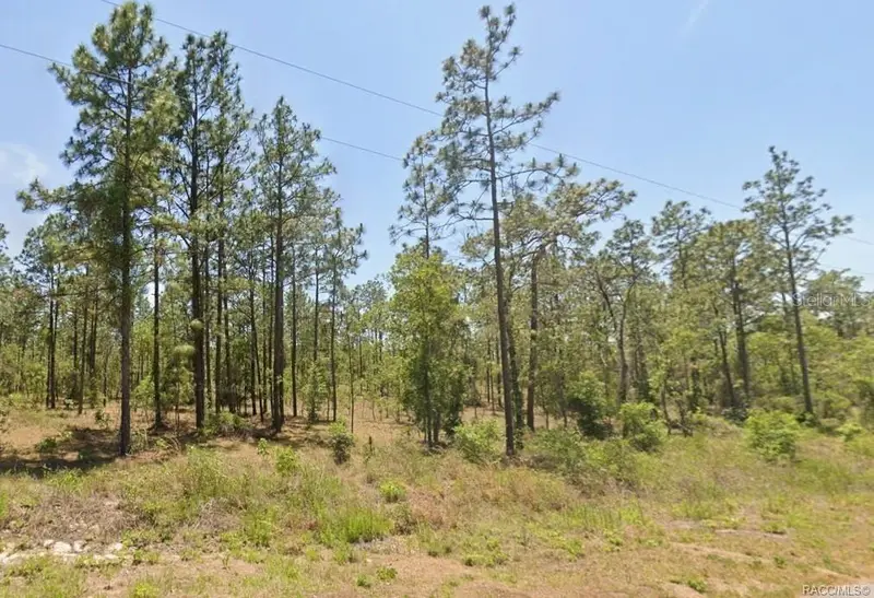 0 Nw Water Oak #5, FL