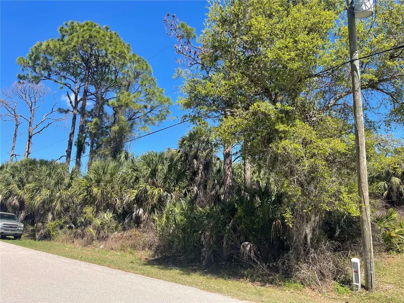 Lot 17 Allegheny Ln, FL