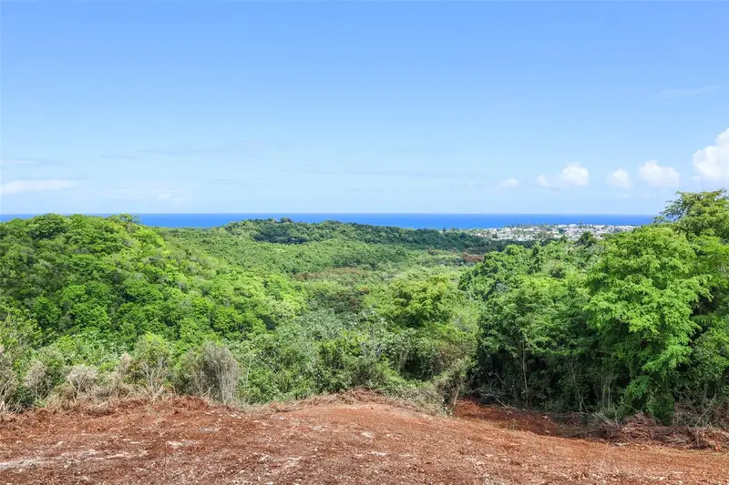 Km 2.4 Int La Rampla #Lot 5, PR