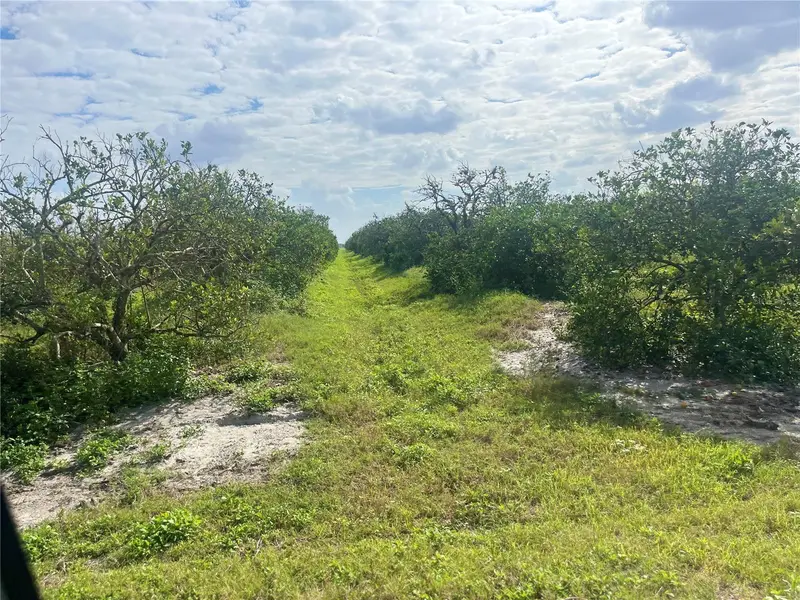 Ne Hwy 70, FL