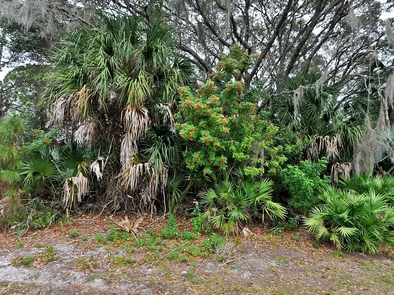Florala St, FL