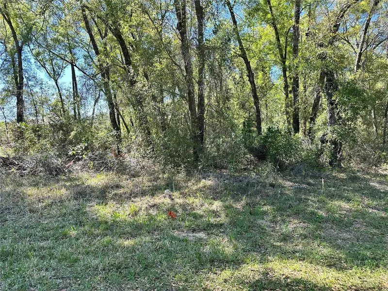 446 N Fitzpatrick Ave, FL