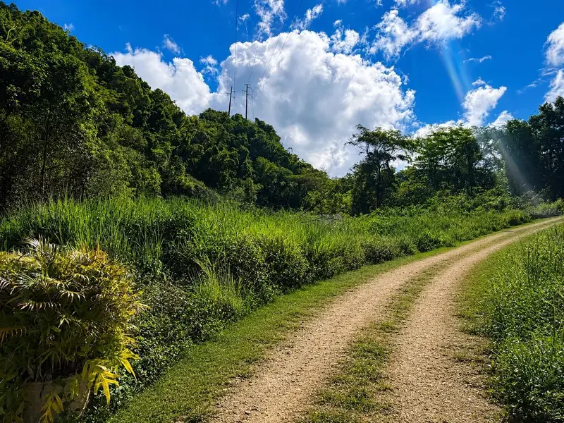 1 Pr-686 Km 1.2 Interior, PR