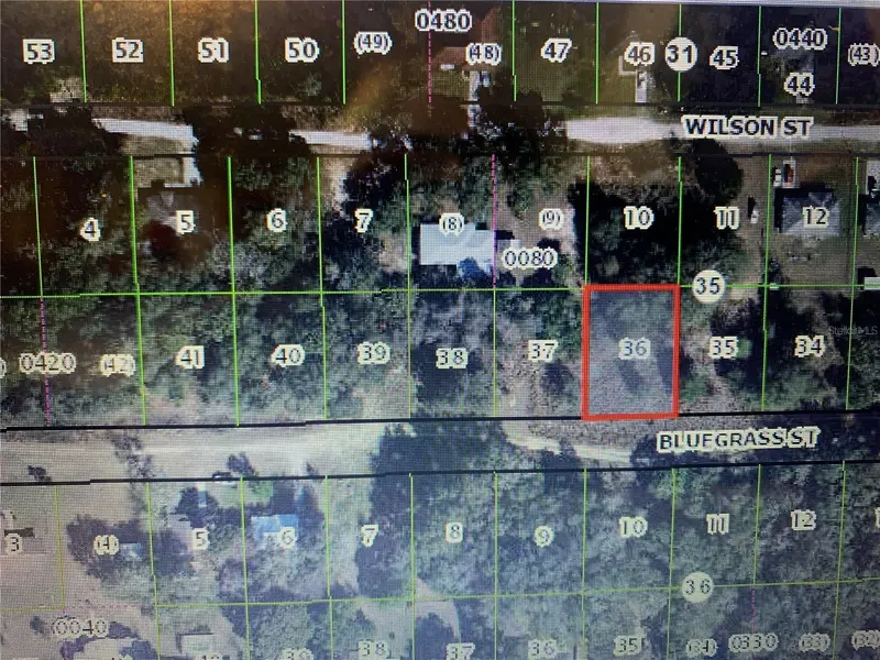 2406 Bluegrass St, FL