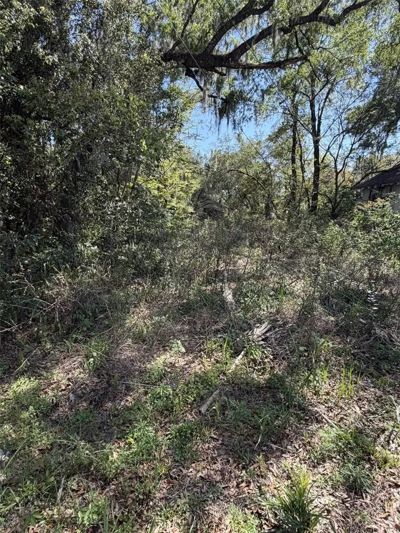 110 E Mercers Fernery Rd, FL