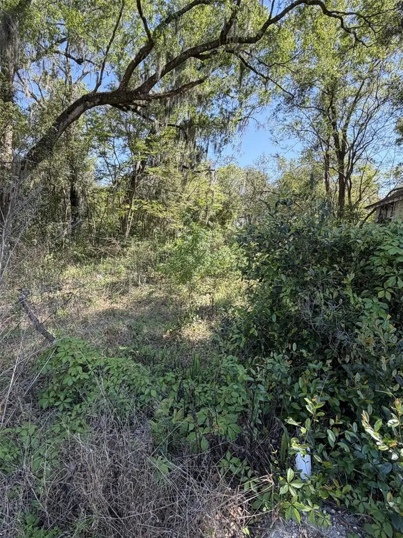 110 E Mercers Fernery Rd, FL