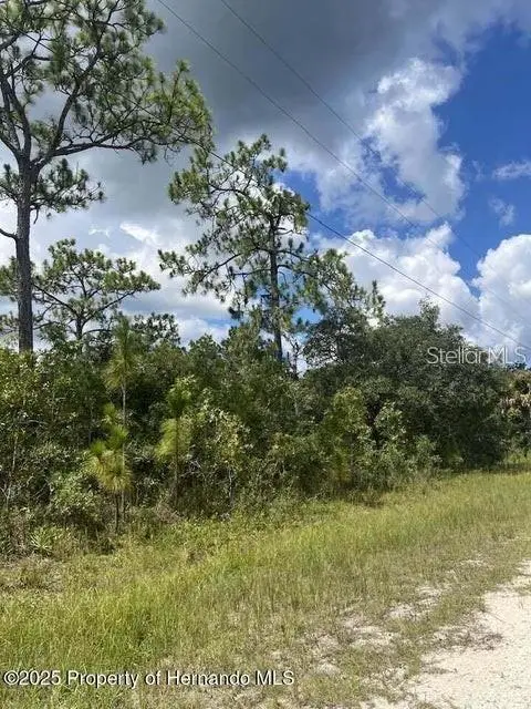 10194 Yellow Frog Ave, FL