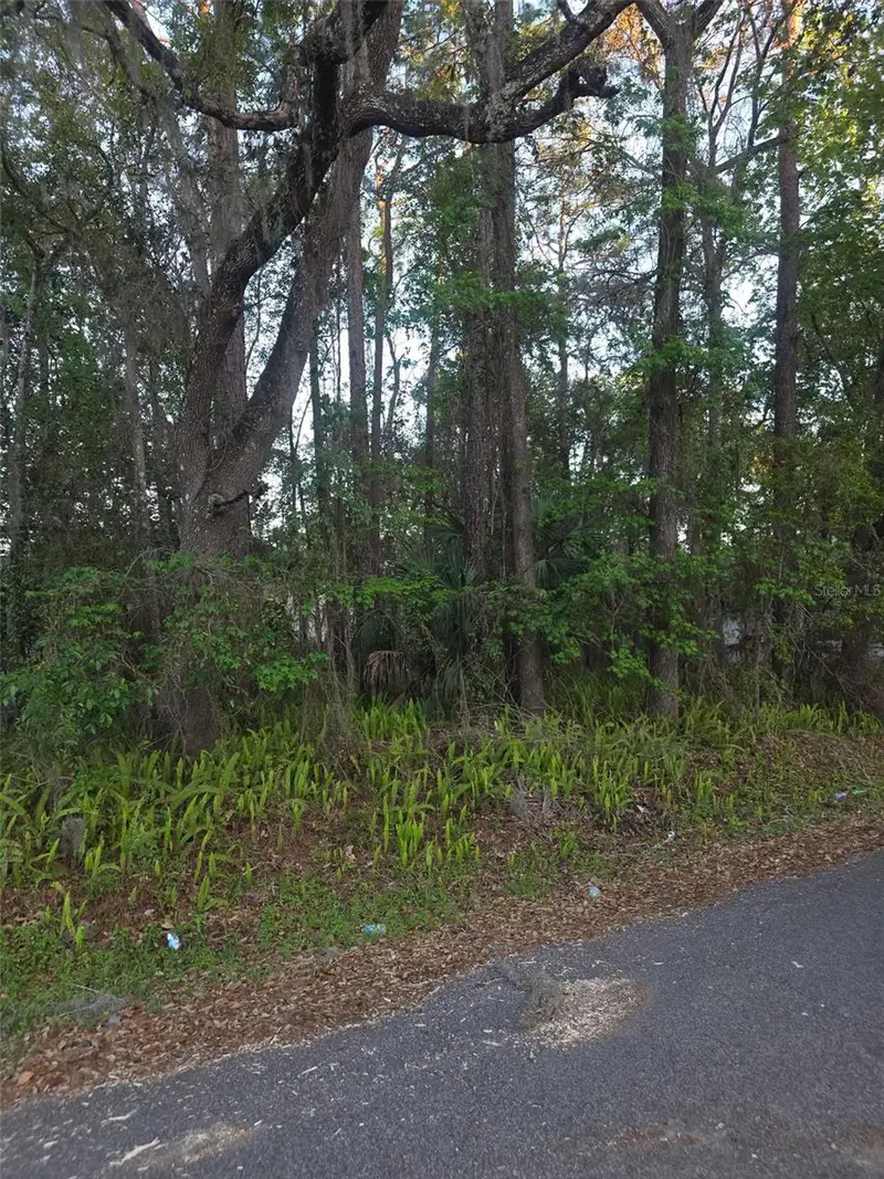 0 Bethune St, FL