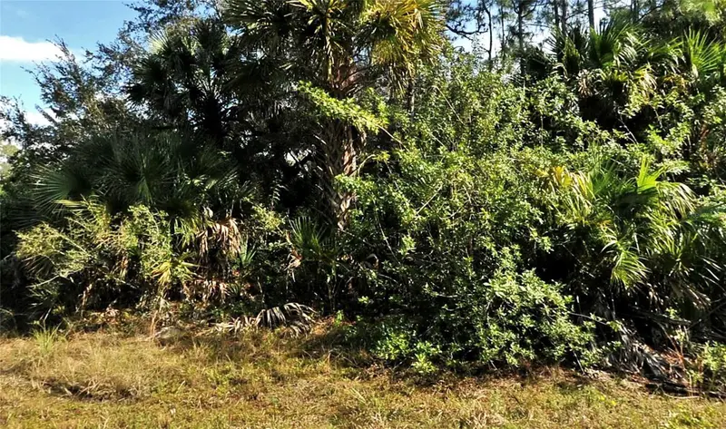 Bolus, FL