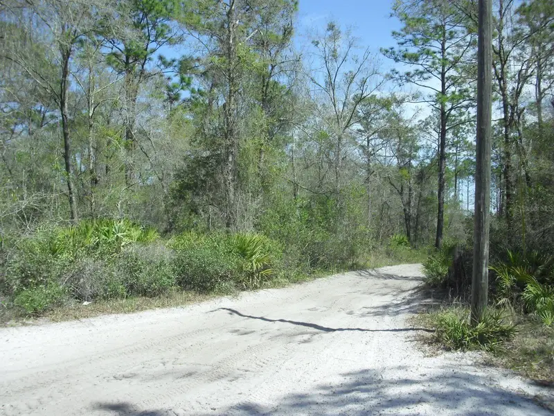Tract 418 Sw 158th Ln, FL
