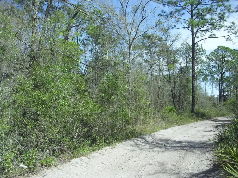 Tract 418 Sw 158th Ln, FL