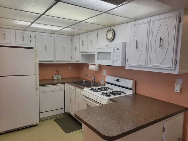 9950 62nd Ter N #417, FL