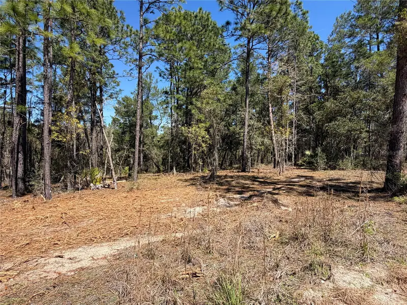 00000 Se 58th Place, FL