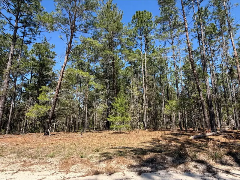 00000 Se 58th Place, FL