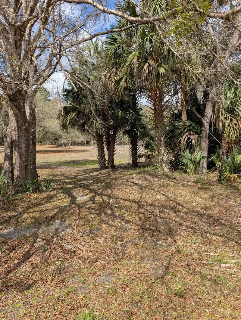 Lorie St, FL
