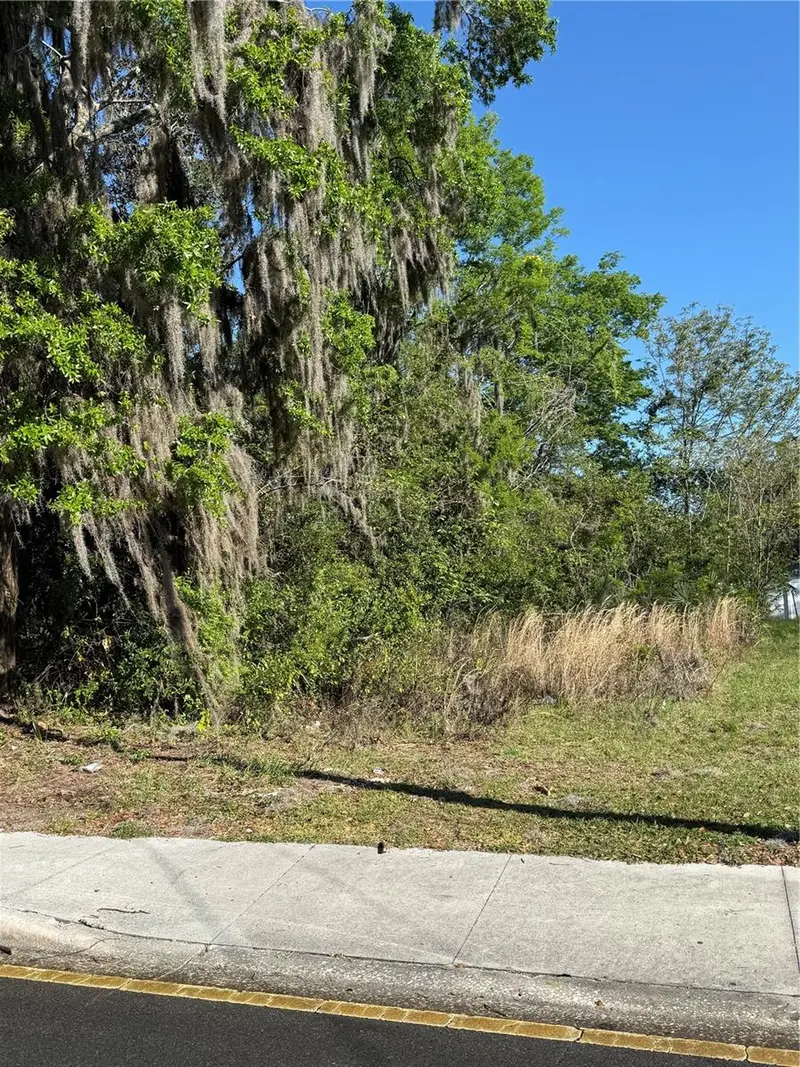 3rd St, FL