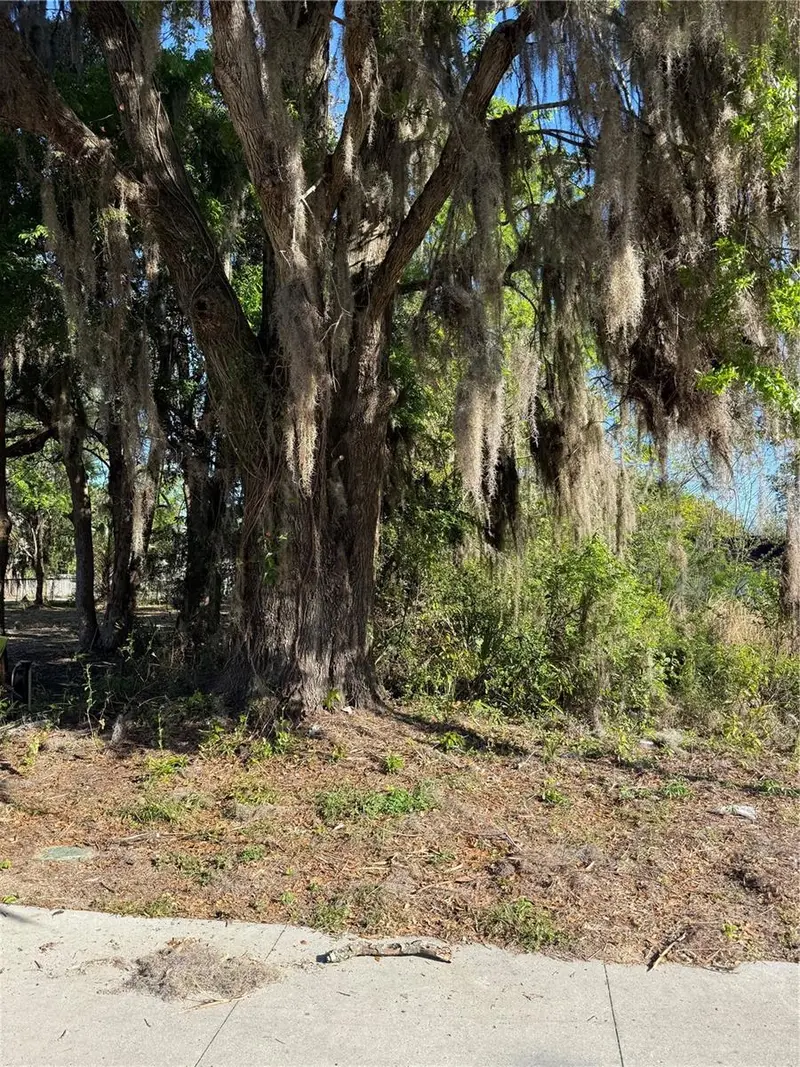 3rd St, FL