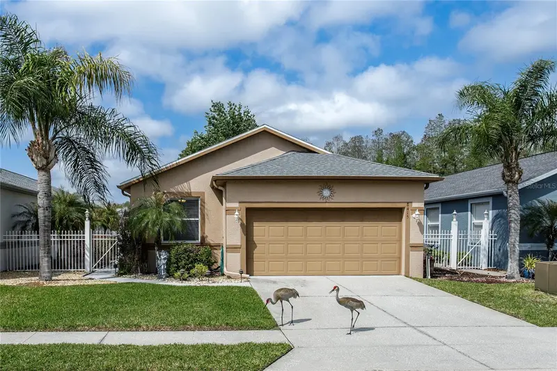 8415 Tarocco Ct, FL