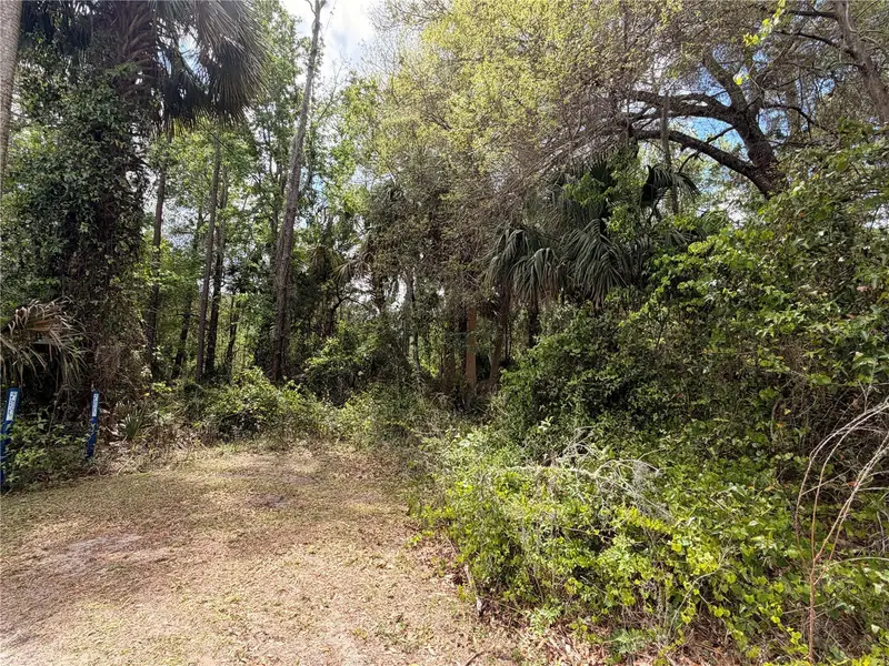 County Road 445a, FL