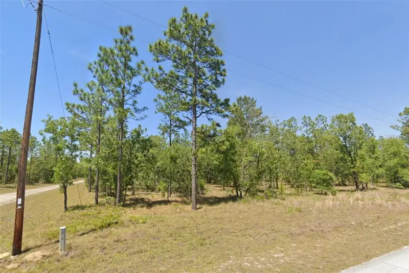 Lot 31 Se 133rd, FL