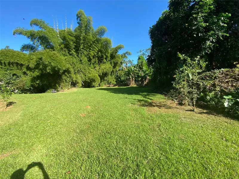 Carr. 108, Camino Adelina Bo. RíO CañAs, PR