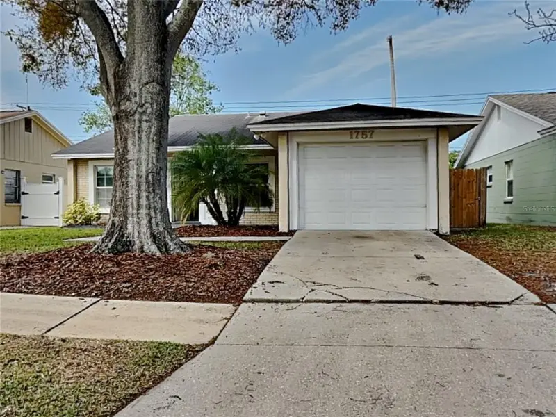 Brandon, FL
