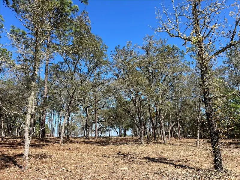Lot 25 Sw Timberlake Rd, FL