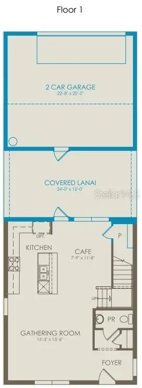 2142 Mossy Vine Avenue, FL