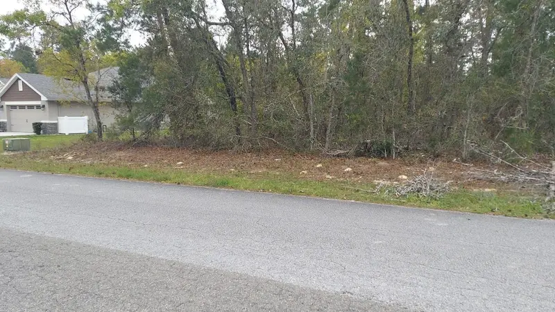 3 Tall Marigolds Ct,, FL