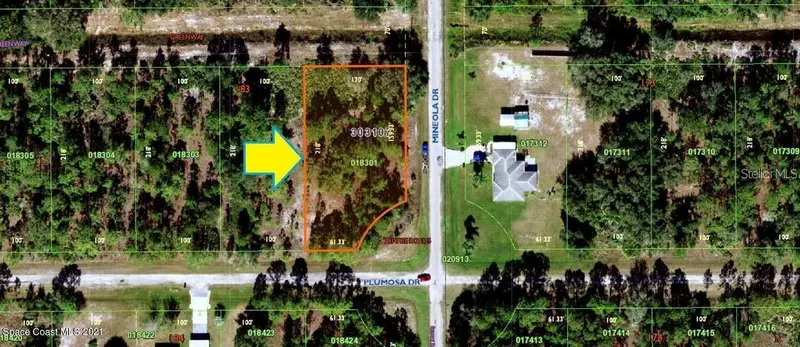 3250 Plumosa Dr, FL