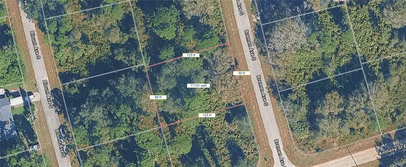 138 Bremen Ave S, FL