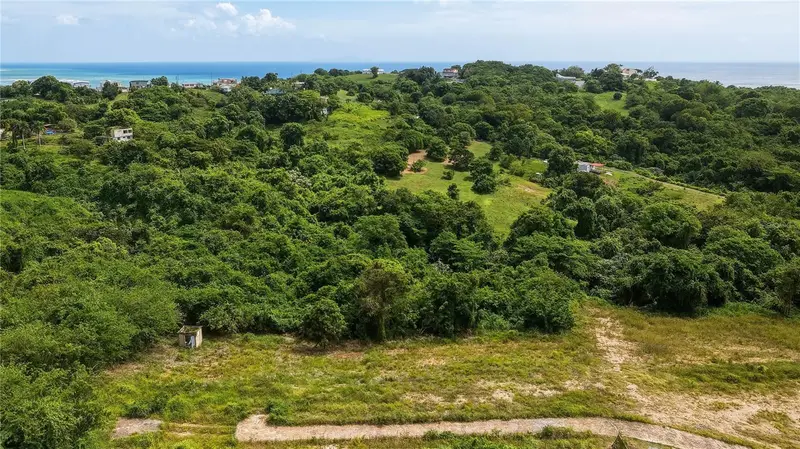 Lots 8, 11, 11a, 11b, 11c Camino Nuevo, PR