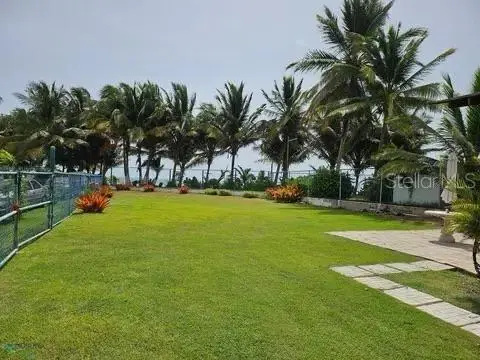 Las Picuas Beach Bo. Zorzal Orch #6, PR