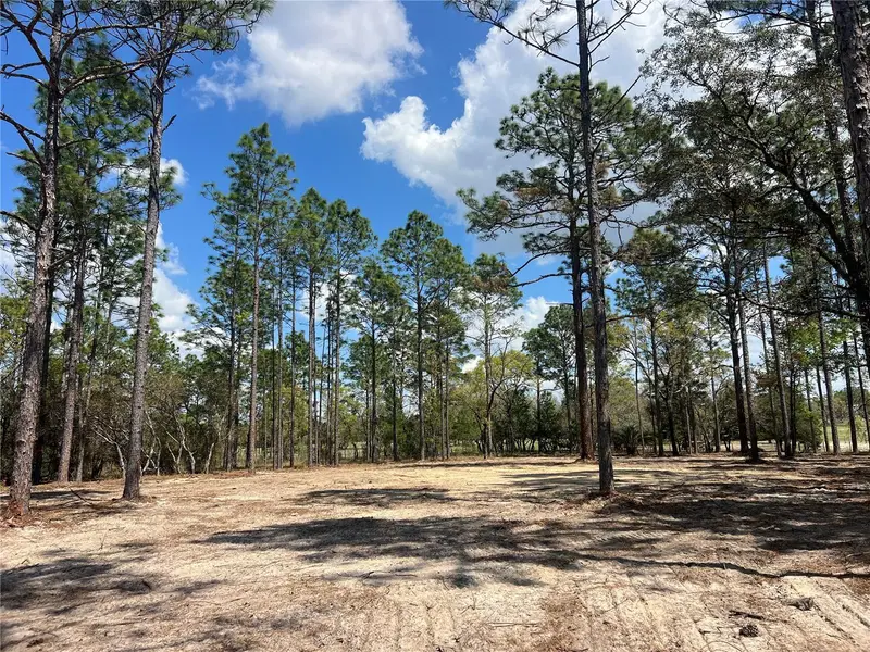 16 Se 136 Ter, FL